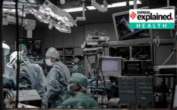 Why India is set a slugfest between global and domestic manufacture